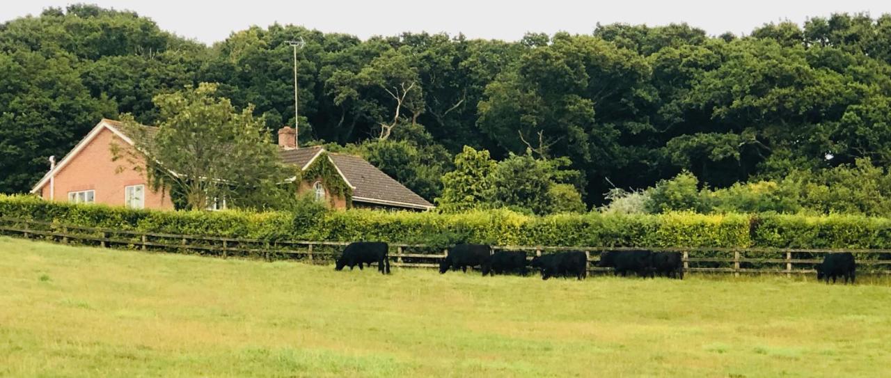 Yellowham Farm, Dorchester Higher Bockhampton Eksteriør billede