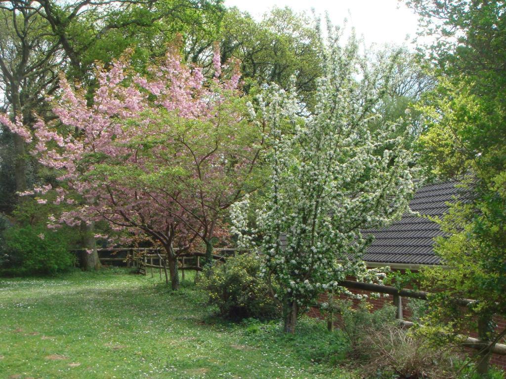 Yellowham Farm, Dorchester Higher Bockhampton Eksteriør billede