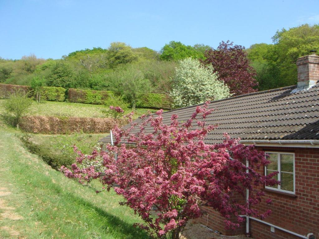 Yellowham Farm, Dorchester Higher Bockhampton Eksteriør billede